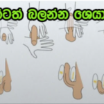ඔබේ ශිෂ්ණය කොටද? රටම කතාවෙන දිග වැඩි කරගන්නා ව්‍යායාමය මෙන්න..