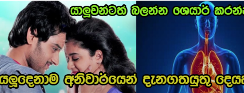 දිනපතා ලිංගිකව එකතු උනොත් ඔබේ ශරීරයට මොකද වෙන්නේ? ඔබ න‍ොදන්නා දේ මෙන්න…