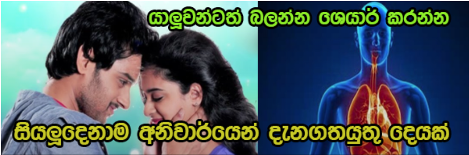 දිනපතා ලිංගිකව එකතු උනොත් ඔබේ ශරීරයට මොකද වෙන්නේ? ඔබ න‍ොදන්නා දේ මෙන්න…