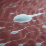 ශුක්‍රානු ගිල්ලම ලැබෙන ඔබ නොදන්නා සෞඛ්‍යය ප්‍රතිලාභ මෙන්න.. දැනුවත් වන්න කියවන්න…