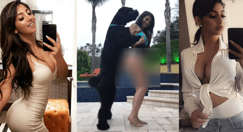 ප්‍රසිද්ධ නිරූපිකාවකගේ සරාගී ඇදුමට ෆෝම්වු සුනඛයෙකු කරපු අන්තර්ජාලය කැළඹු විඩියෝව මෙන්න…