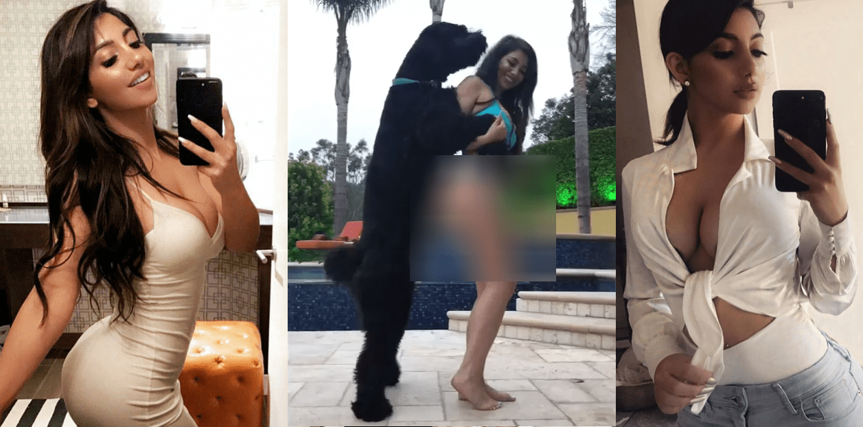 ප්‍රසිද්ධ නිරූපිකාවකගේ සරාගී ඇදුමට ෆෝම්වු සුනඛයෙකු කරපු අන්තර්ජාලය කැළඹු විඩියෝව මෙන්න…