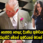 පිය සෙනහස නොලද දියණිය කුමරියක් වන දින උපේක්ෂාවෙන් බලාසිටි කුමරියකගේ මවගේ කතාව