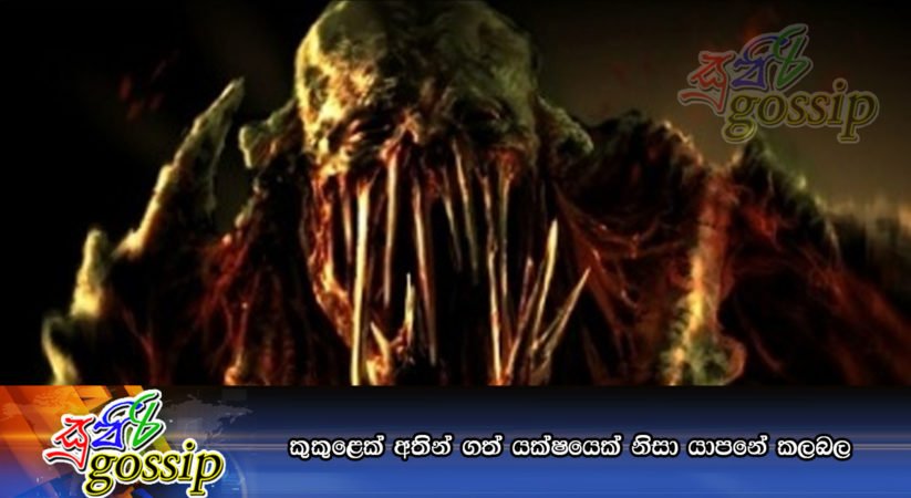 කුකුළෙක් අතින් ගත් යක්ෂයෙක් නිසා යාපනේ කලබල