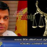 අපහාස කිරීම සම්බන්ධයෙන් දඬුවම් නොකිරීමට අධිකරණය රංජන්ගෙන් හේතු ඉල්ලයි
