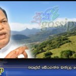 නකල්ස් බේරගන්න බන්දුල පෙරට