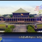 පාර්ලිමේන්තුවට ඔප්පු දෙයි