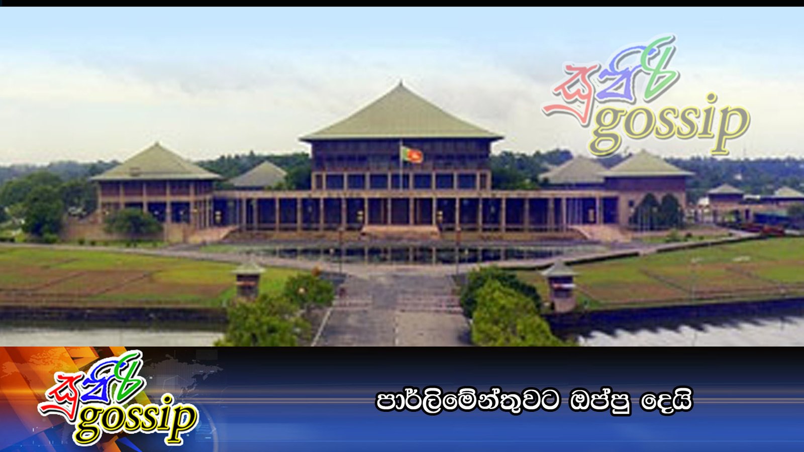 පාර්ලිමේන්තුවට ඔප්පු දෙයි