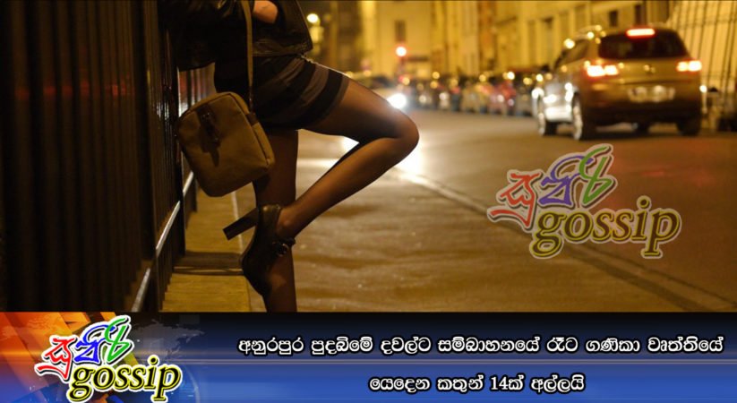 අනුරපුර පුදබිමේ දවල්ට සම්බාහනයේ රෑට ගණිකා වෘත්තියේ යෙදෙන කතුන් 14ක් අල්ලයි