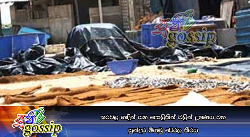 කරවල ගඳින් සහ පොලිතින් වලින් දූෂණය වන සුන්දර මීගමු වෙරල තීරය