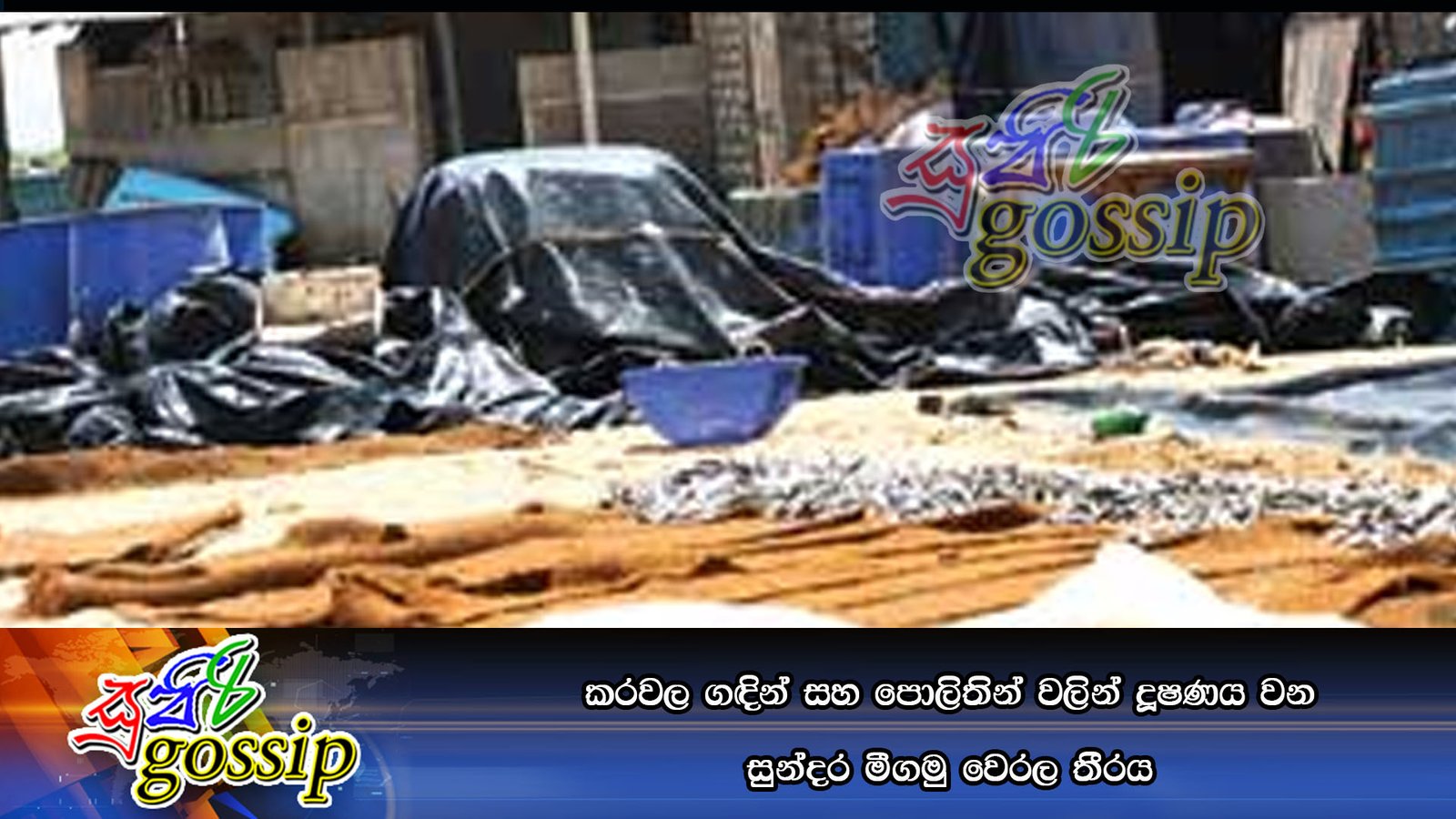 කරවල ගඳින් සහ පොලිතින් වලින් දූෂණය වන සුන්දර මීගමු වෙරල තීරය