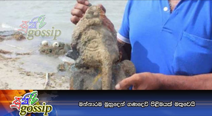 මන්නාරම මුහුදෙන් ගණදෙවි පිළිමයක් මතුවෙයි