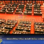 කිලිනොච්චියේ දිවියා මැරීමේ සිද්ධිය පාර්ලිමේන්තුව හෙළාදකී