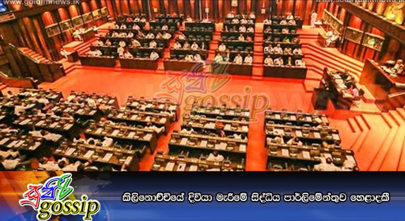 කිලිනොච්චියේ දිවියා මැරීමේ සිද්ධිය පාර්ලිමේන්තුව හෙළාදකී