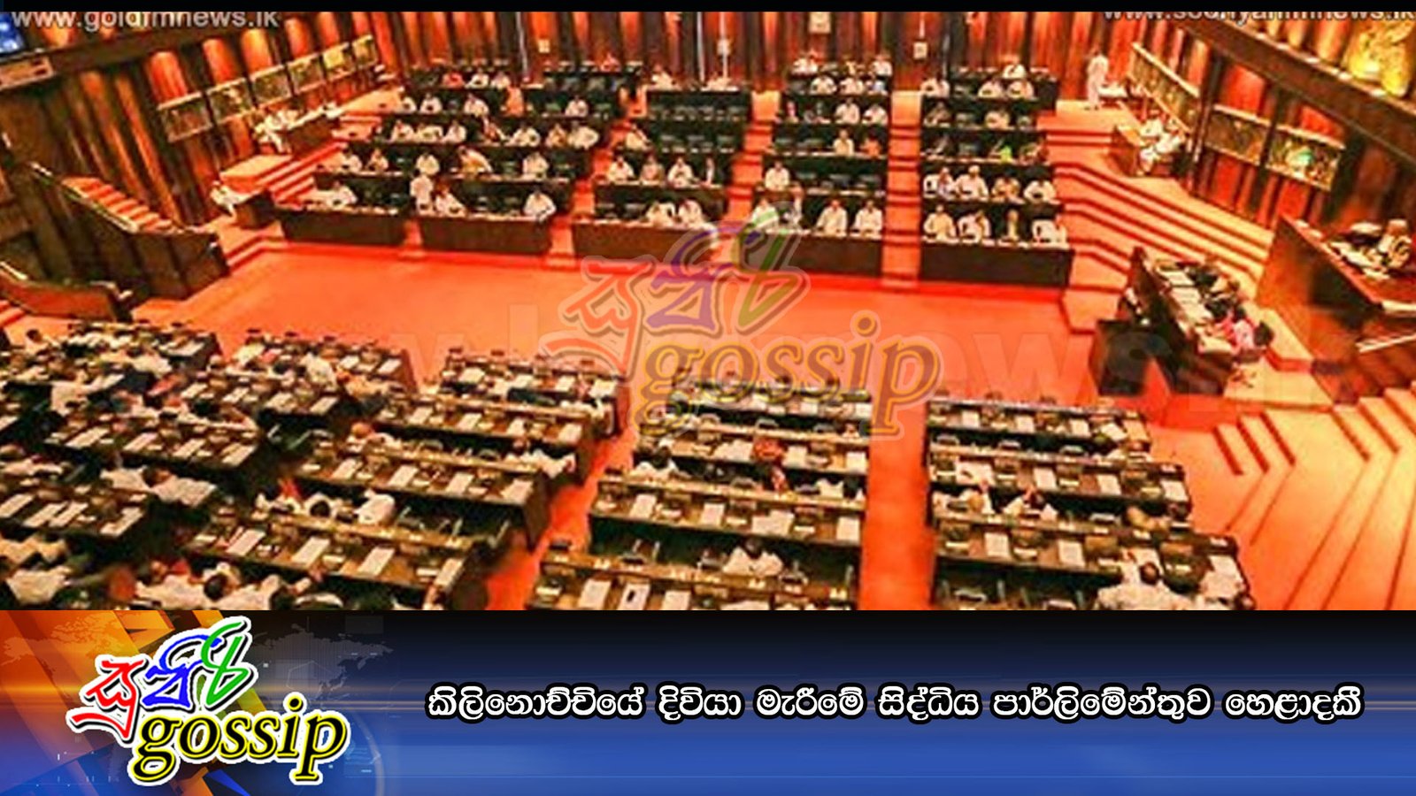 කිලිනොච්චියේ දිවියා මැරීමේ සිද්ධිය පාර්ලිමේන්තුව හෙළාදකී