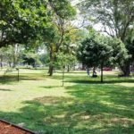 250ට පඳුරු අස්සේ ක්ලාස් ආපු පොඩි කපල් රූම් යන අනුරාධපුර පූජා නගරය‌ේ අමුතු පාක් එක ම‌ෙන්න..