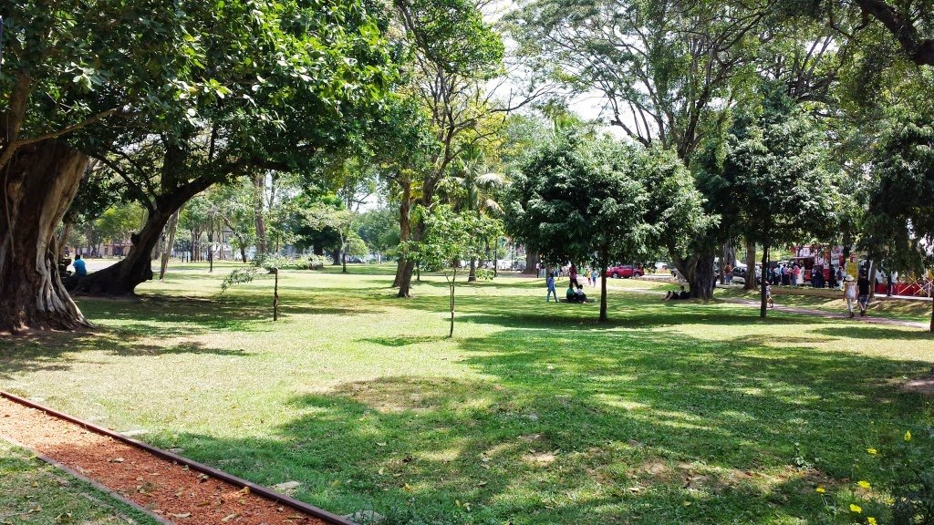 250ට පඳුරු අස්සේ ක්ලාස් ආපු පොඩි කපල් රූම් යන අනුරාධපුර පූජා නගරය‌ේ අමුතු පාක් එක ම‌ෙන්න..