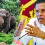 ජනපති මෛත්‍රි නියමයෙන් අලි මිනිස් ගැටුමට කඩිනම් විසදුම්….. අලිවැට කඩිනම් කිරිමේ තින්දුවක්