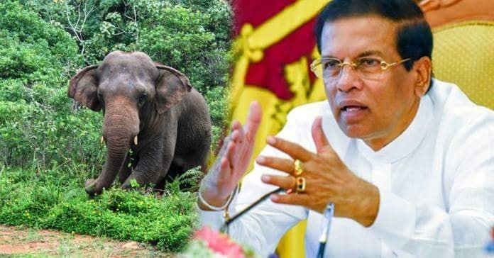 ජනපති මෛත්‍රි නියමයෙන් අලි මිනිස් ගැටුමට කඩිනම් විසදුම්….. අලිවැට කඩිනම් කිරිමේ තින්දුවක්