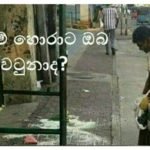 බේස්ලයින් රෝඩ් එකේ දෙමටගොඩ පාලම යට තියන ෆුඩ්සිටිය ඉස්සරහ අඩ අඩා ඉන්න මොහුට ඔබත් රැවටුනාද?