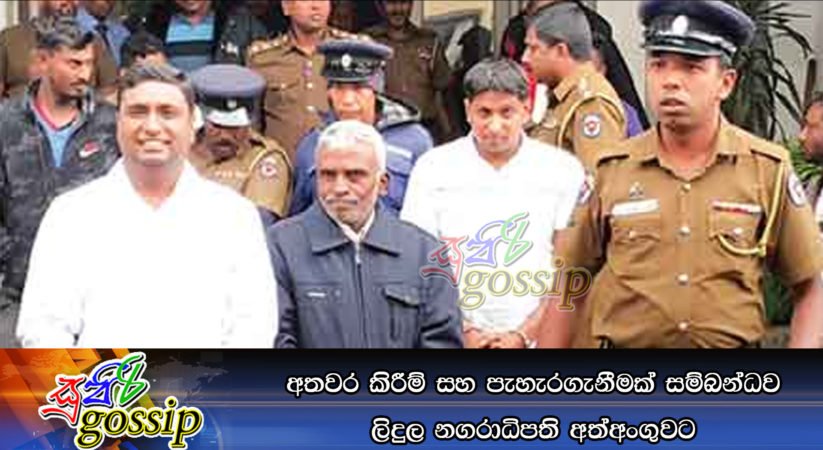 අතවර කිරීම් සහ පැහැරගැනීමක් සම්බන්ධව ලිදුලනගරාධිපති අත්අංගුවට