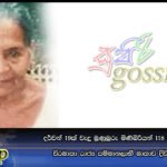 දර්වන් 19ක් වැදූ මුණුබුරු මිණිබිරියන් 118 කටත් වඩා වැඩි වීරමාතා’ රාජ්‍ය සම්මානලාභී මාතාව දිවියෙන් සමුගනී