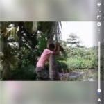 ටාසන් විදියට වැඩ දාන්න ගිහින් මඩ නාපු ලංකාවේ කොල්ලගේ පට්ට වීඩියෝව මෙන්න…