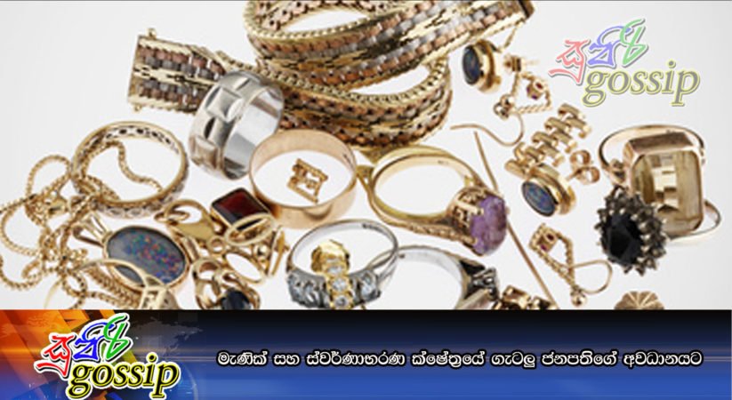 මැණික් සහ ස්වර්ණාභරණ ක්ෂේත‍්‍රයේ ගැටලු ජනපතිගේ අවධානයට