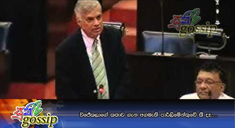 විජේකලාගේ කතාව ගැන අගමැති පාර්ලිමේන්තුවේ කී දෑ….