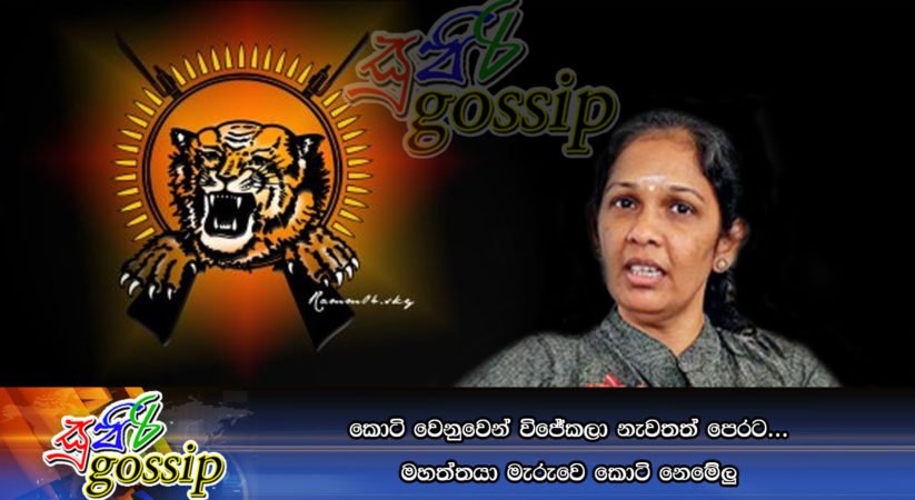 කොටි වෙනුවෙන් විජේකලා නැවතත් පෙරට… මහත්තයා මැරුවෙ කොටි නෙමේලු