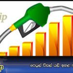 පෙට්‍රල් ඩීසල් යලි ඉහළ නගී