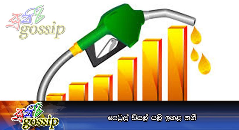පෙට්‍රල් ඩීසල් යලි ඉහළ නගී