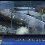 ලොවක් කම්පා කරමින් මරා දැමු මහ මුහුදේ දැවැන්තයා (PHOTOS)