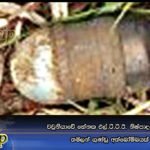 වවුනියාවේ හේනක එල්.ටී.ටී.ඊ. නිෂ්පාදනය කළ ‘තමිලන් ගුණ්‌ඩු’ අත්බෝම්බයක්‌