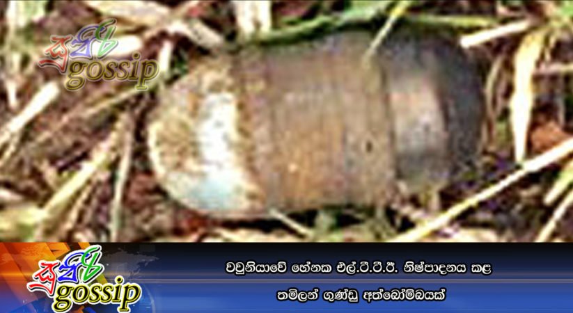 වවුනියාවේ හේනක එල්.ටී.ටී.ඊ. නිෂ්පාදනය කළ ‘තමිලන් ගුණ්‌ඩු’ අත්බෝම්බයක්‌