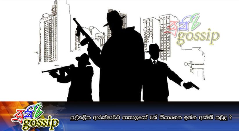 පුද්ගලික ආරක්ෂාවට පාතාලයෝ 5ක් තියාගෙන ඉන්න ඇමති කවුද ?
