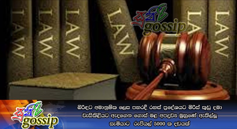 බිරිඳට අමානුෂික ලෙස පහරදී රහස්‌ ප්‍රදේශයට මිරිස්‌ කුඩු දමා වැසිකිළියට ඇදගෙන ගොස්‌ මළ අපද්‍රව්‍ය මුහුණේ ඇතිල්ලූ සැමියාට  රුපියල් 5000 ක දඩයක්‌