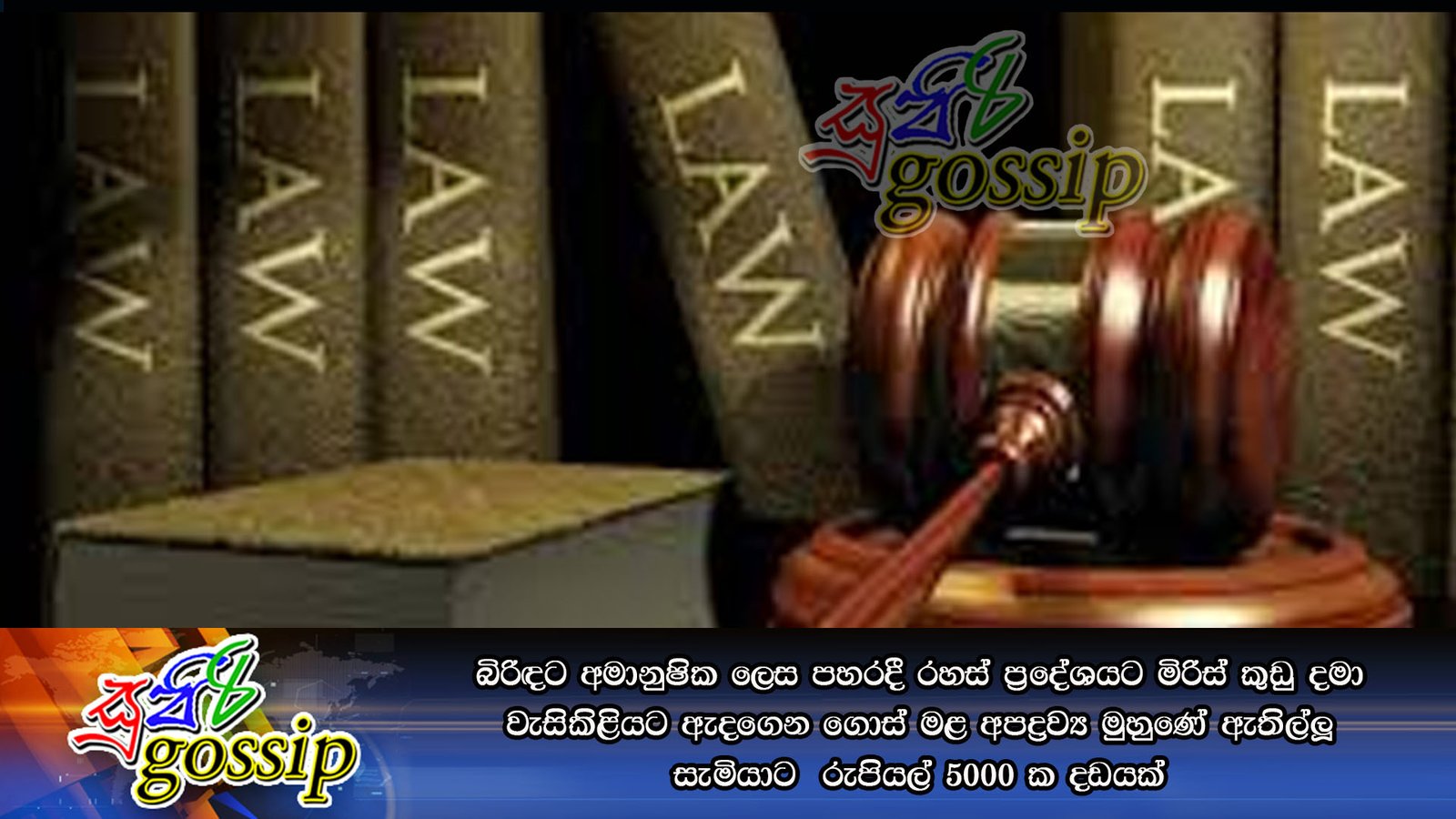 බිරිඳට අමානුෂික ලෙස පහරදී රහස්‌ ප්‍රදේශයට මිරිස්‌ කුඩු දමා වැසිකිළියට ඇදගෙන ගොස්‌ මළ අපද්‍රව්‍ය මුහුණේ ඇතිල්ලූ සැමියාට  රුපියල් 5000 ක දඩයක්‌