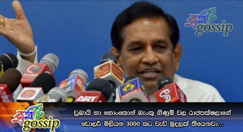 ඩුබායි හා හොංකොන් බැංකු ගිණුම් වල රාජපක්ෂලාගේ ඩොලර් මිලියන 3000 කට වැඩි මුදලක් තියෙනවා…