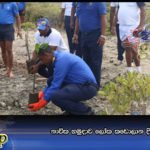 නාවික හමුදාව ලෝක කඩොලාන දිනය සමරයි