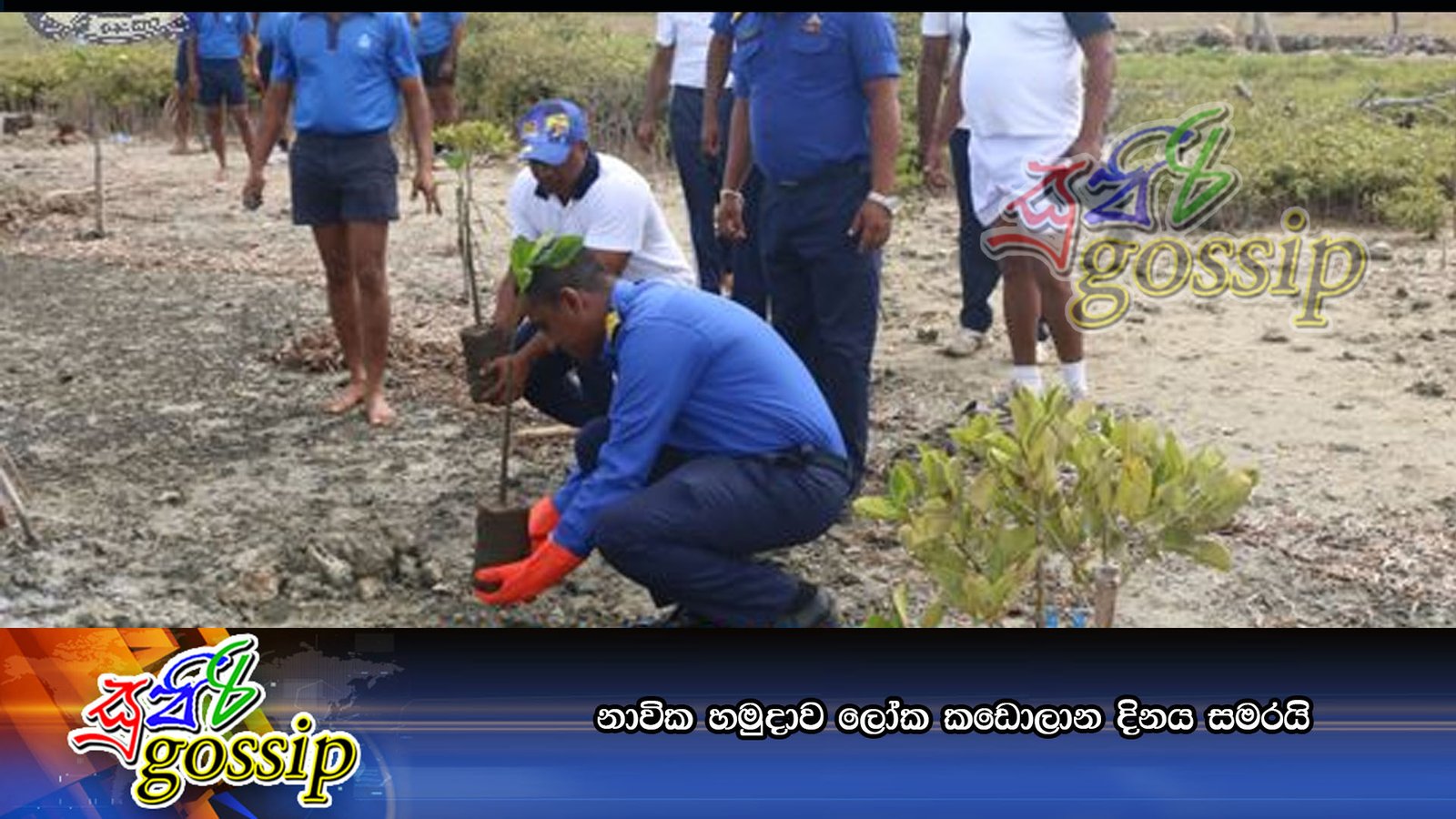 නාවික හමුදාව ලෝක කඩොලාන දිනය සමරයි