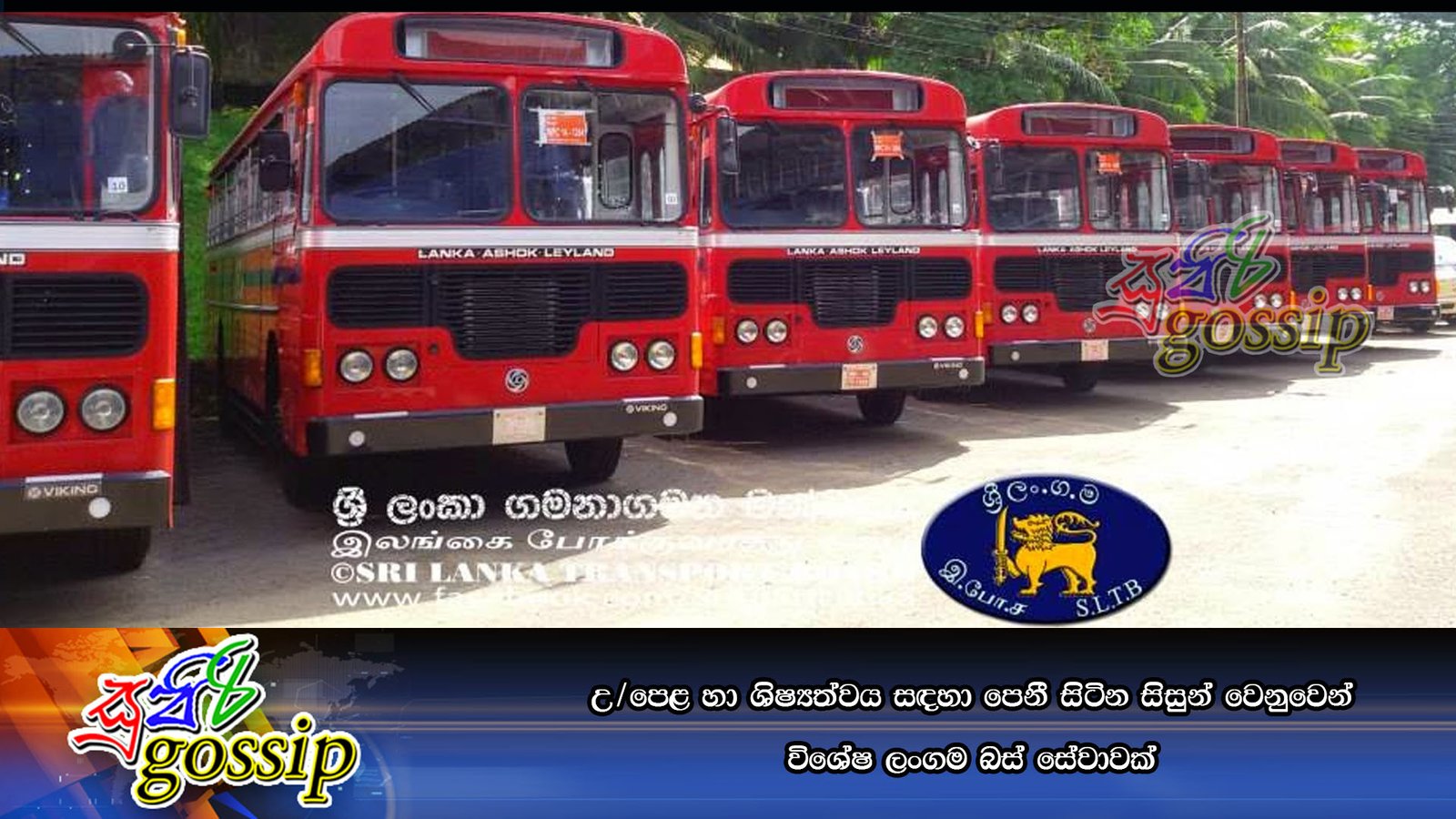 උ/පෙළ හා ශිෂ්‍යත්වය සඳහා පෙනී සිටින සිසුන් වෙනුවෙන් විශේෂ ලංගම බස් සේවාවක්