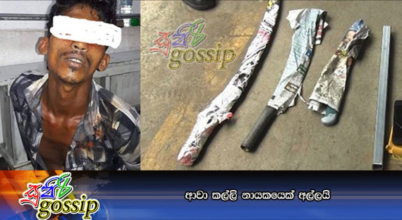 ආවා කල්ලි නායකයෙක් අල්ලයි