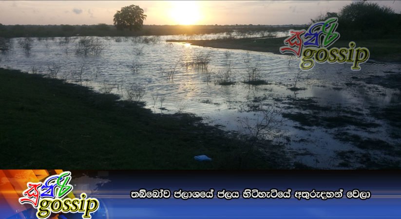 තබ්බෝව ජලාශයේ ජලය හිටිහැටියේ අතුරුදහන් වෙලා
