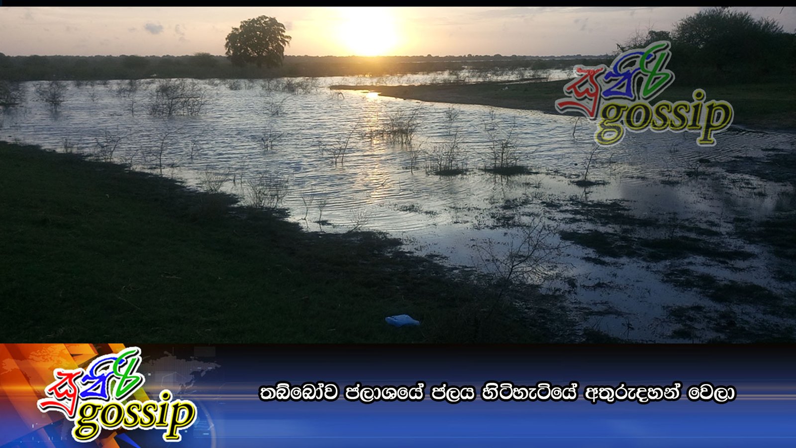 තබ්බෝව ජලාශයේ ජලය හිටිහැටියේ අතුරුදහන් වෙලා