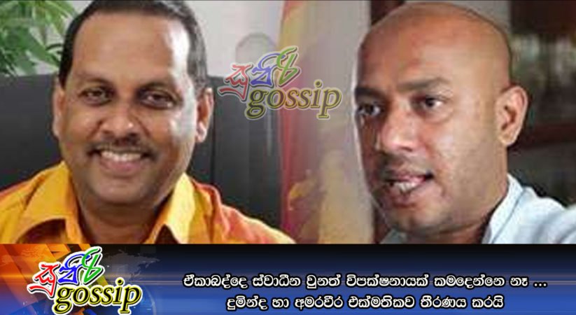 ඒකාබද්දෙ ස්වාධීන වුනත් විපක්ෂනායක් කමදෙන්නෙ නෑ … දුමින්ද අමරවීර එක්මතිකව තීරණය කරයි