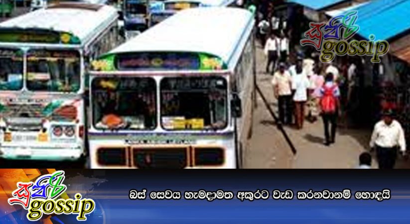 බස් සේවය හැමදාමත් අකුරට වැඩ කරනවානම් හොඳයි