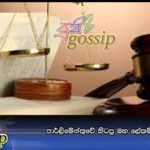 පාර්ලිමේන්තුවේ හිටපු මහ ‍ලේකම්ට සිතාසි