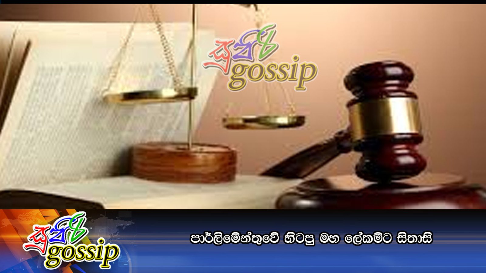 පාර්ලිමේන්තුවේ හිටපු මහ ‍ලේකම්ට සිතාසි