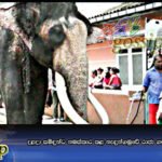 දළදා සමිඳුන්ට නමස්‌කාර කළ නැඳුන්ගමුවේ රාජා ගමට එන්න පිටත් වෙයි